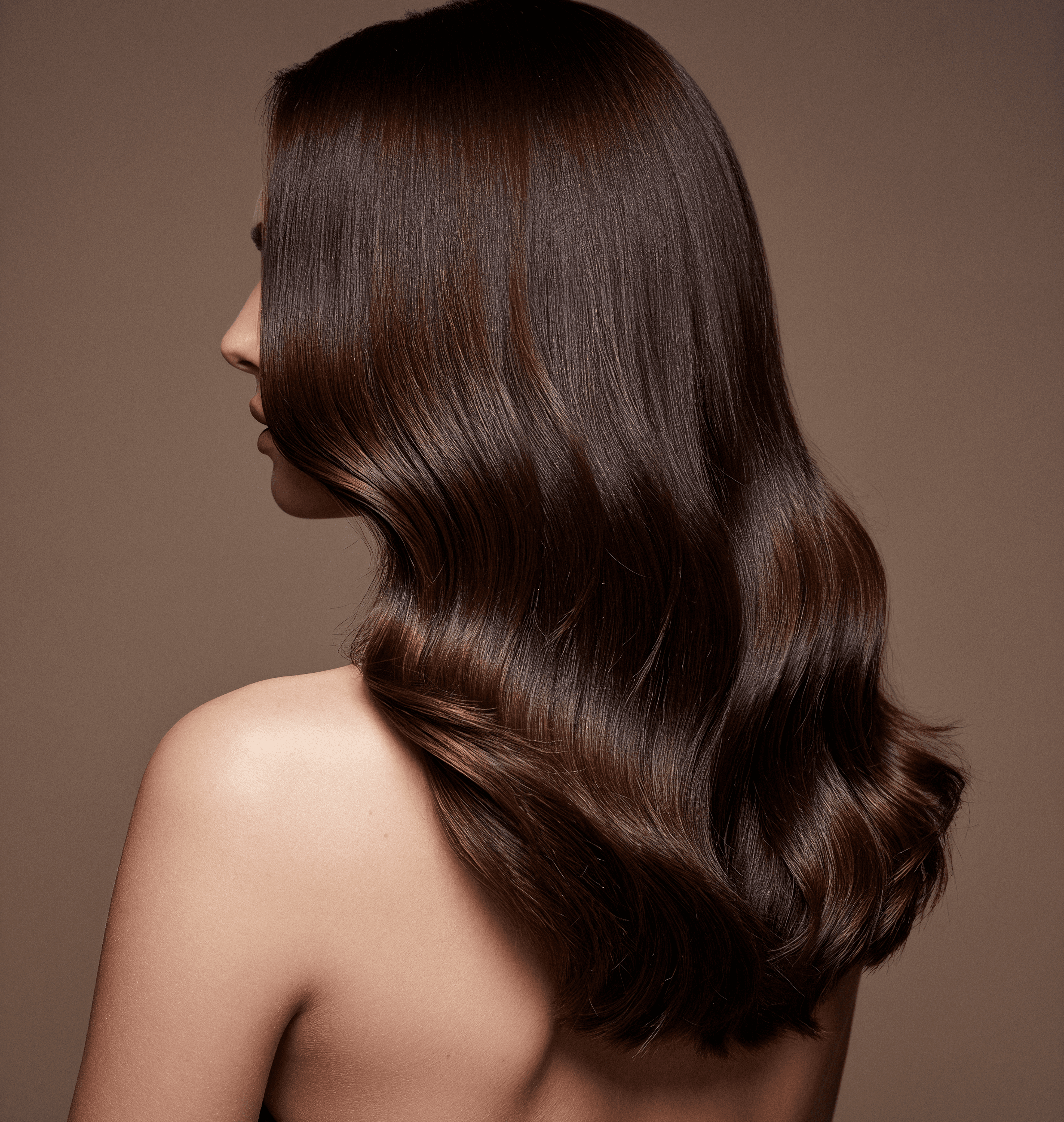 Natural Hair Care Ingredients